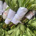 Gongura (Sorrel Leaves)