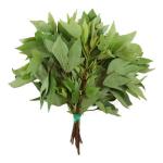 Gongura (Sorrel Leaves)