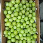 Amla (Indian Goosberry)