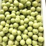 Amla (Indian Goosberry)