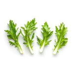 Kaasini Keerai - chicory leaves